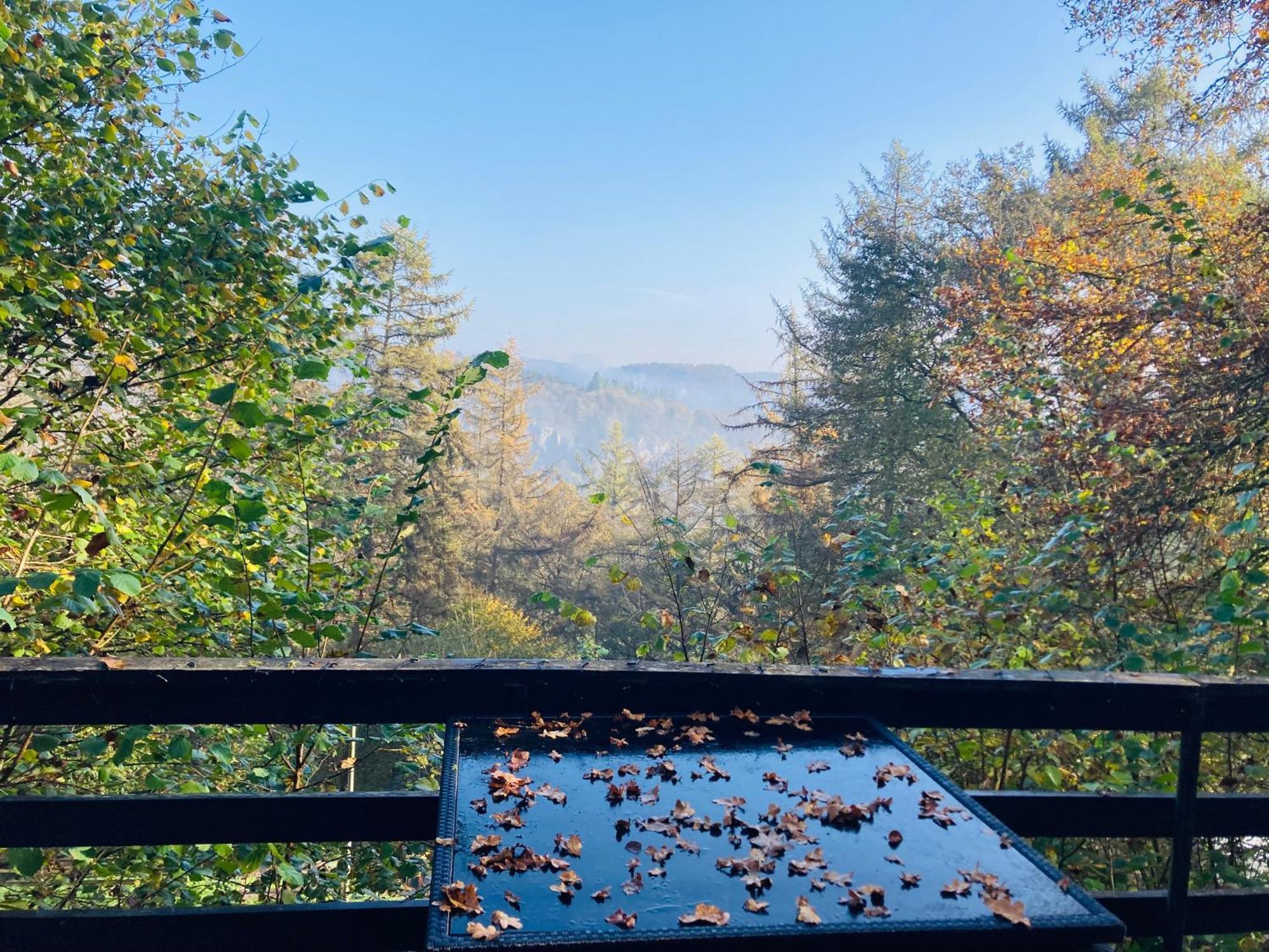 Woody Lodge - Duplex Nature Bonsoy Ardennes Hastiere-par-dela ภายนอก รูปภาพ