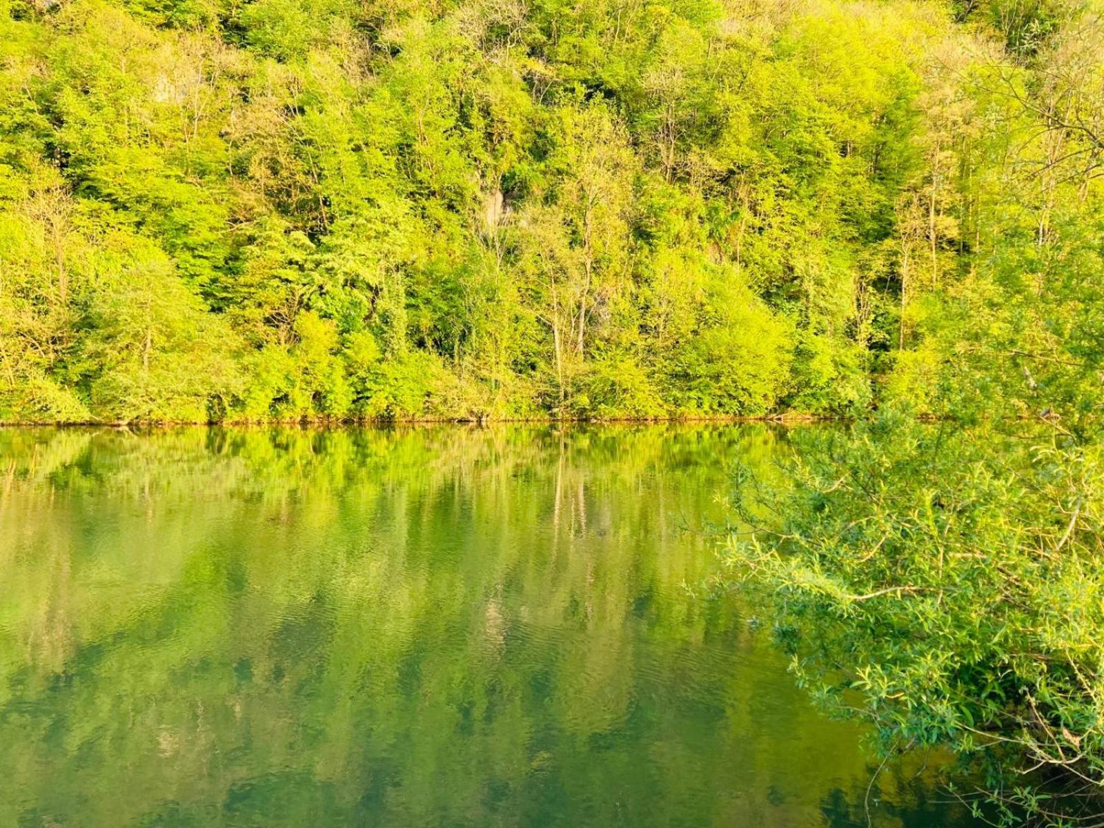 Woody Lodge - Duplex Nature Bonsoy Ardennes Hastiere-par-dela ภายนอก รูปภาพ