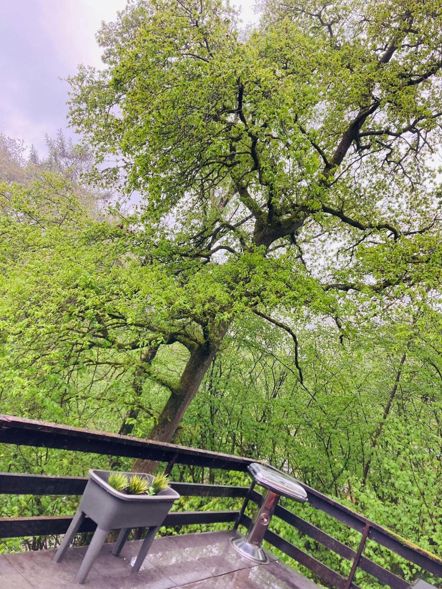Woody Lodge - Duplex Nature Bonsoy Ardennes Hastiere-par-dela ภายนอก รูปภาพ