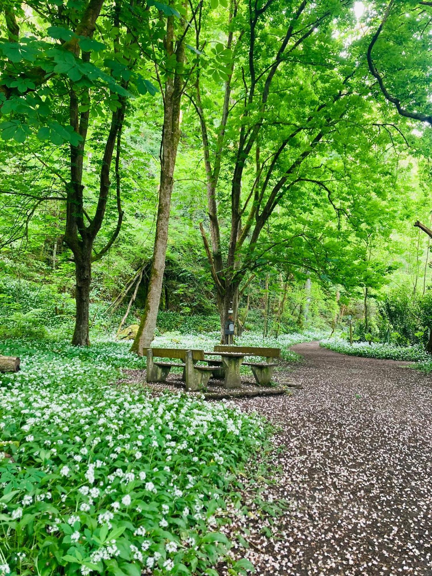 Woody Lodge - Duplex Nature Bonsoy Ardennes Hastiere-par-dela ภายนอก รูปภาพ