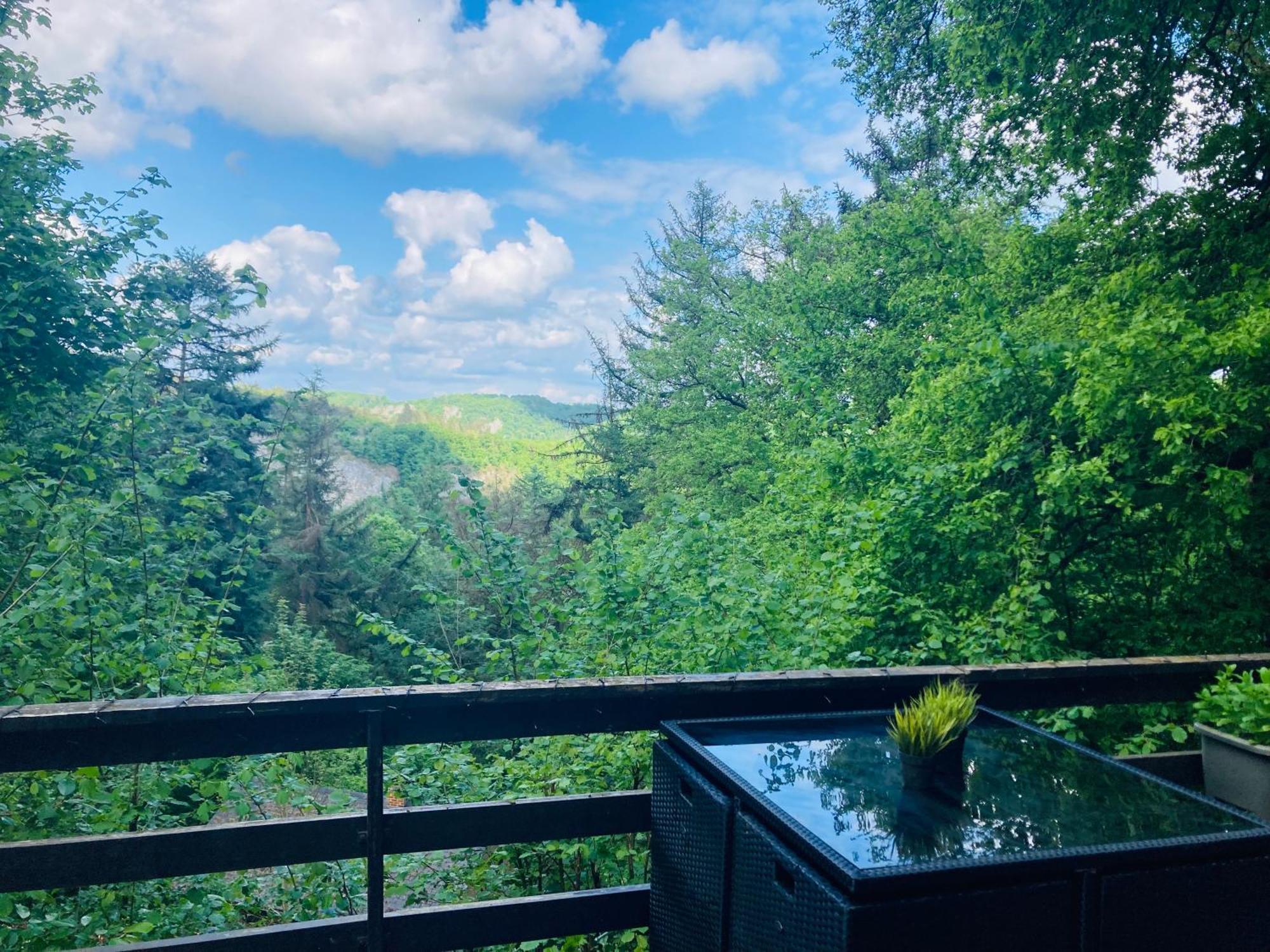 Woody Lodge - Duplex Nature Bonsoy Ardennes Hastiere-par-dela ภายนอก รูปภาพ